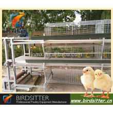 Jaulas de pájaros de acero inoxidable galvanizado automático moderno / jaulas de animales